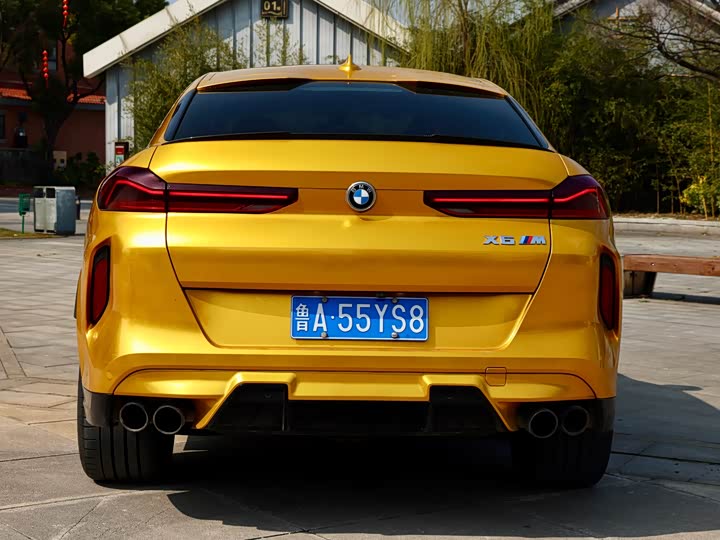 Фото 5 - BMW X6 M