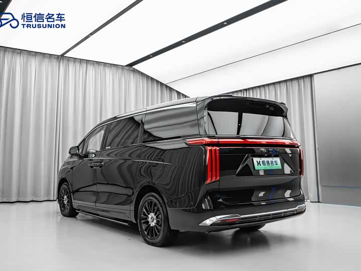 Фото 6 - Wey Gaoshan