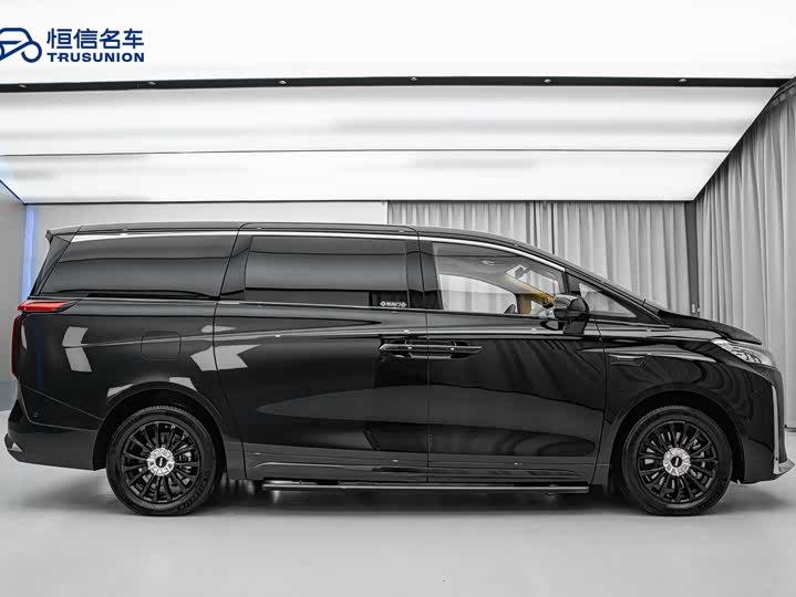 Фото 7 - Wey Gaoshan