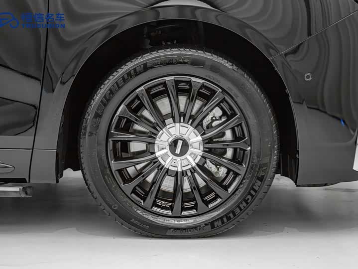 Фото 8 - Wey Gaoshan