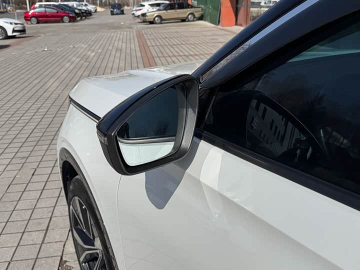 Фото 7 - Volkswagen Tavendor