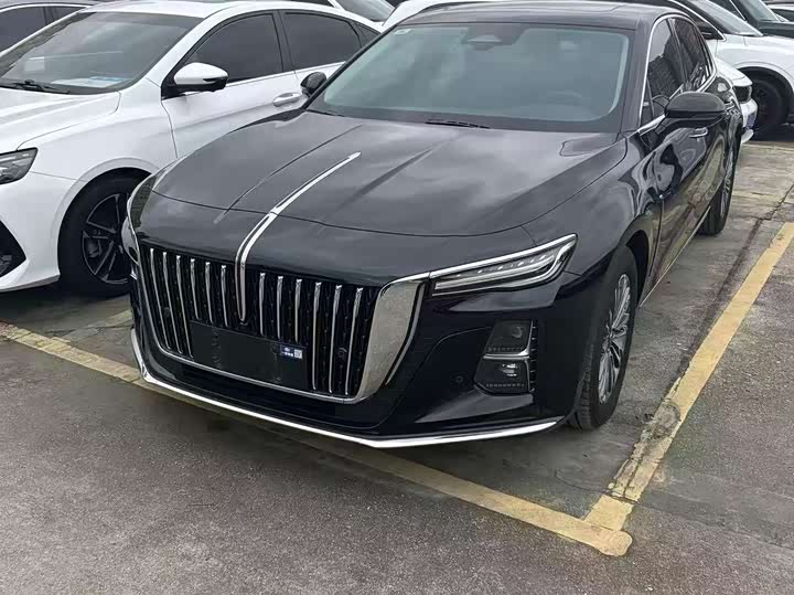 Фото 1 - Hongqi H5