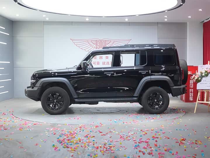 Фото 2 - Tank 300