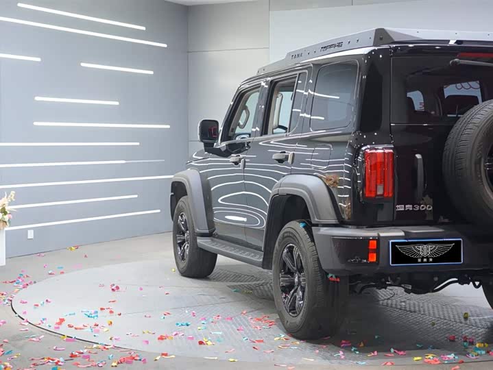 Фото 3 - Tank 300