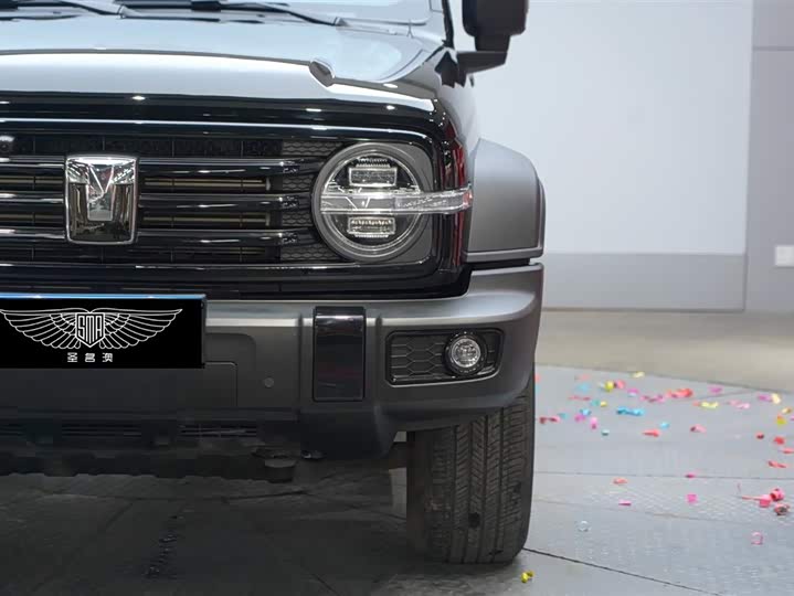 Фото 4 - Tank 300