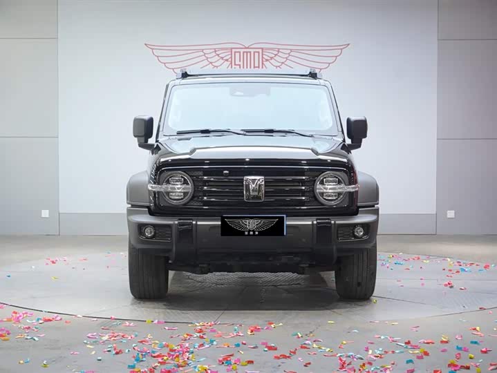 Фото 5 - Tank 300