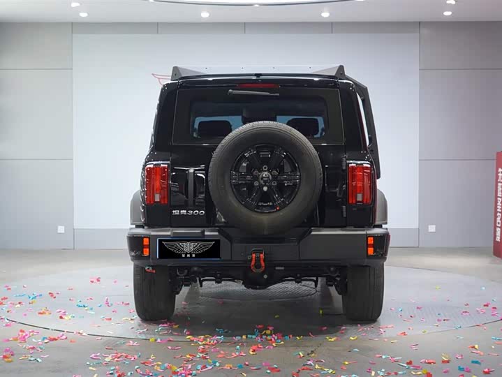 Фото 6 - Tank 300