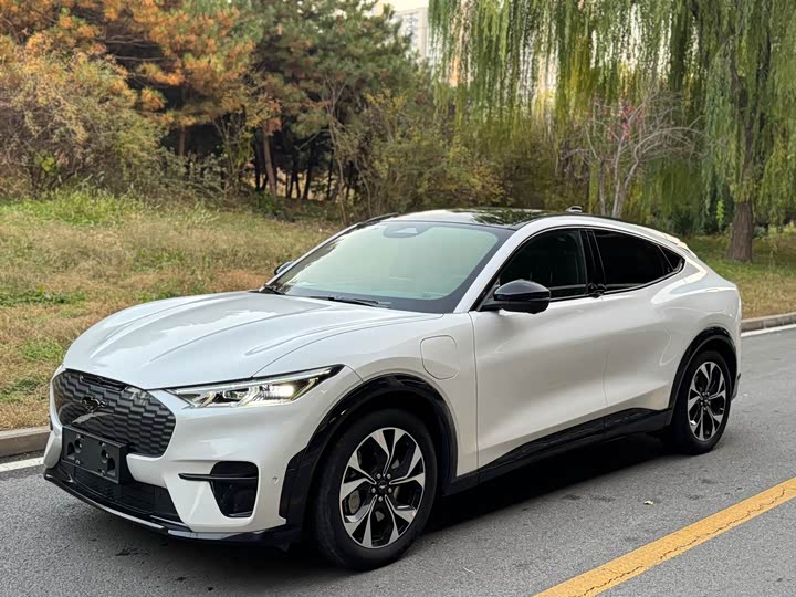 Фото 1 - Ford Mustang Mach-E