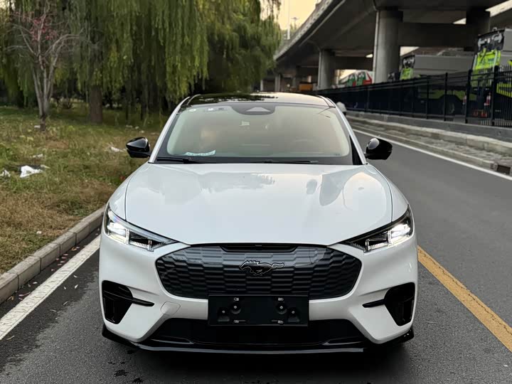 Фото 2 - Ford Mustang Mach-E