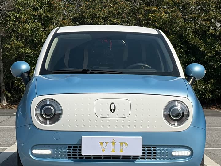 Фото 2 - Ora Black Cat