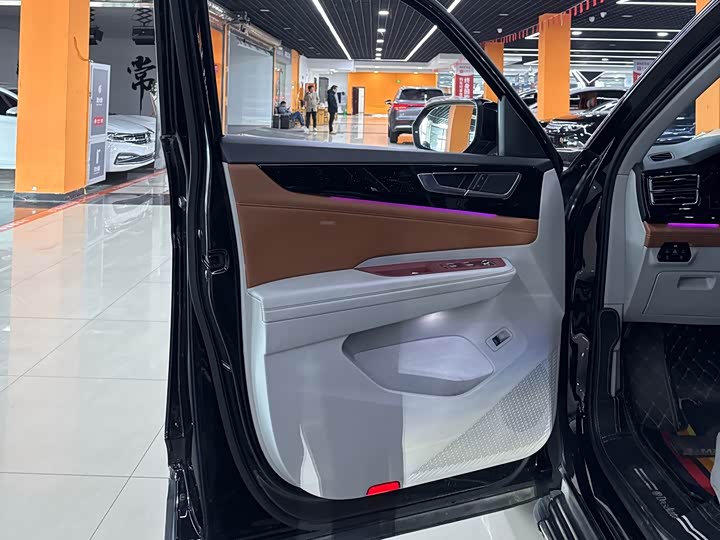 Photo 7 - Volkswagen Teramont Pro