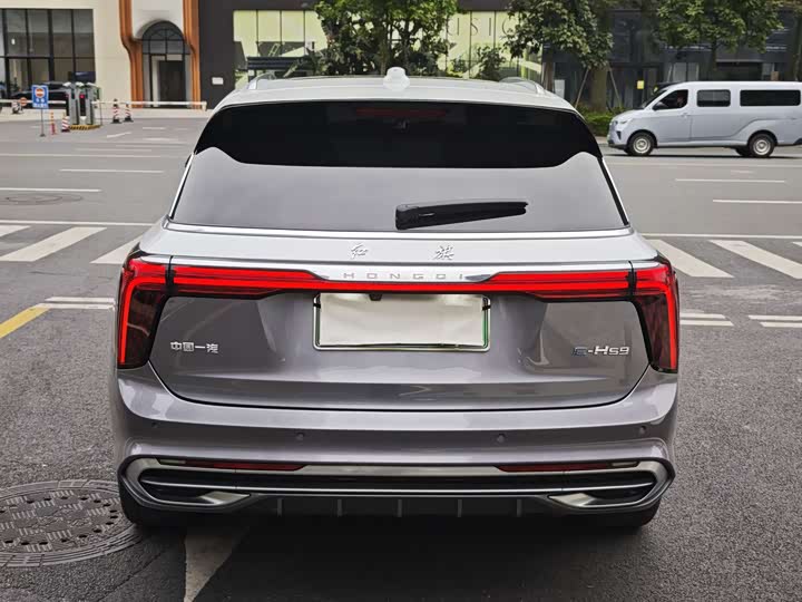Фото 3 - Hongqi E-HS9