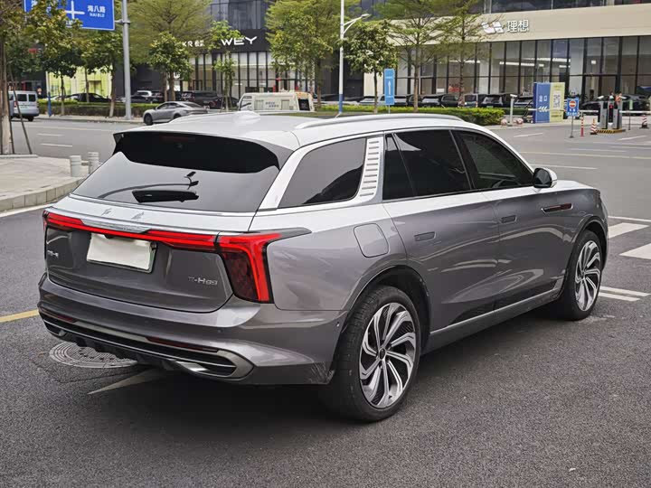 Фото 4 - Hongqi E-HS9