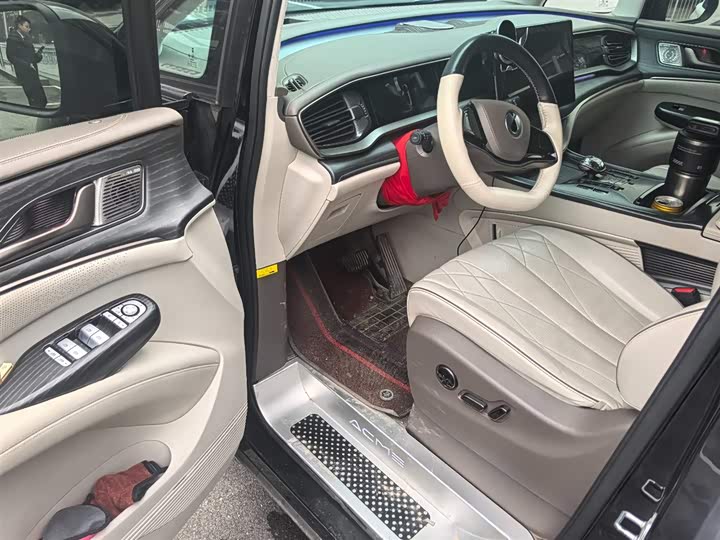 Фото 6 - Denza D9