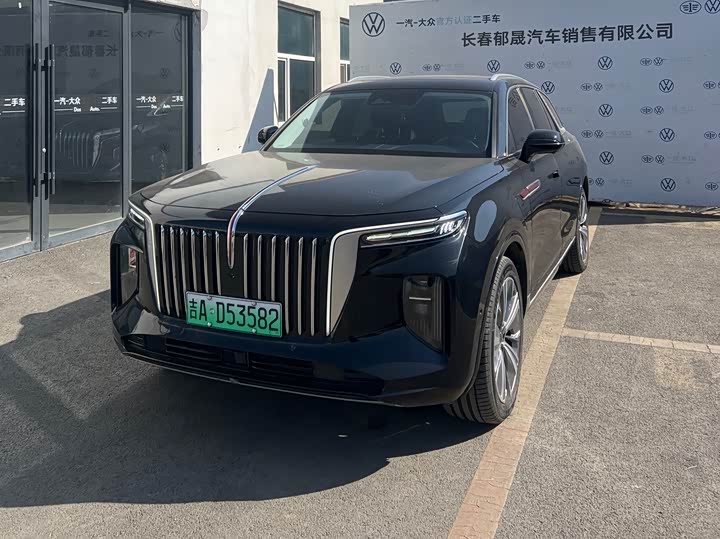 Фото 1 - Hongqi E-HS9