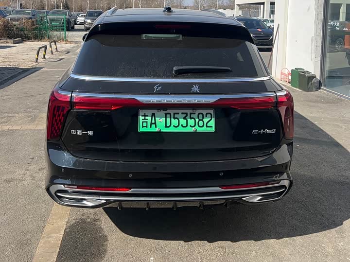 Фото 4 - Hongqi E-HS9