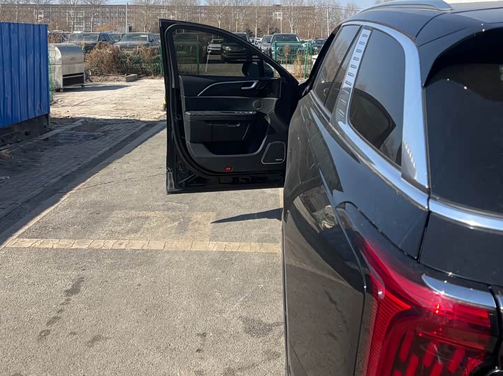 Фото 8 - Hongqi E-HS9