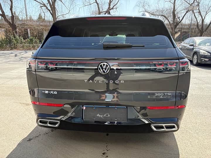 Фото 4 - Volkswagen Tavendor