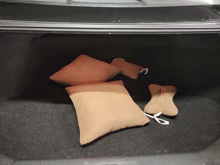 Фото 4 - Nissan Sylphy