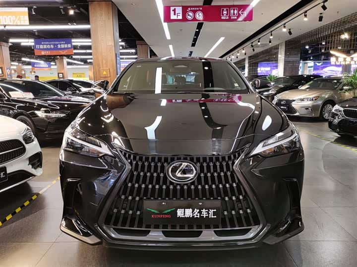 Фото 2 - Lexus NX