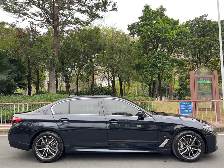 Фото 4 - BMW 5 Series Hybrid