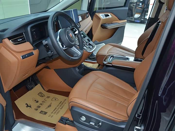 Photo 4 - Hongqi HQ9