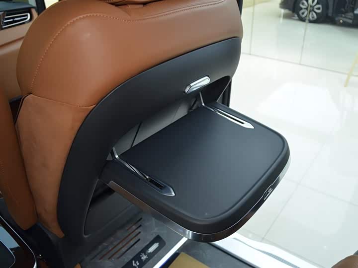 Photo 9 - Hongqi HQ9