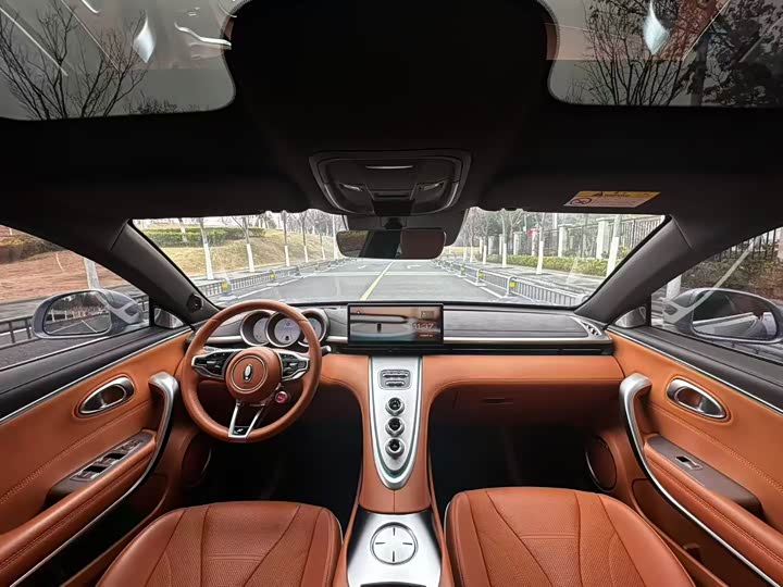 Photo 5 - Ora Lightning Cat (07)