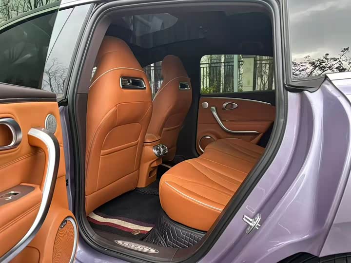 Photo 6 - Ora Lightning Cat (07)