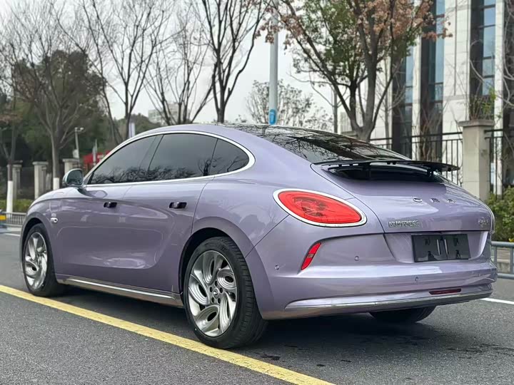 Photo 7 - Ora Lightning Cat (07)