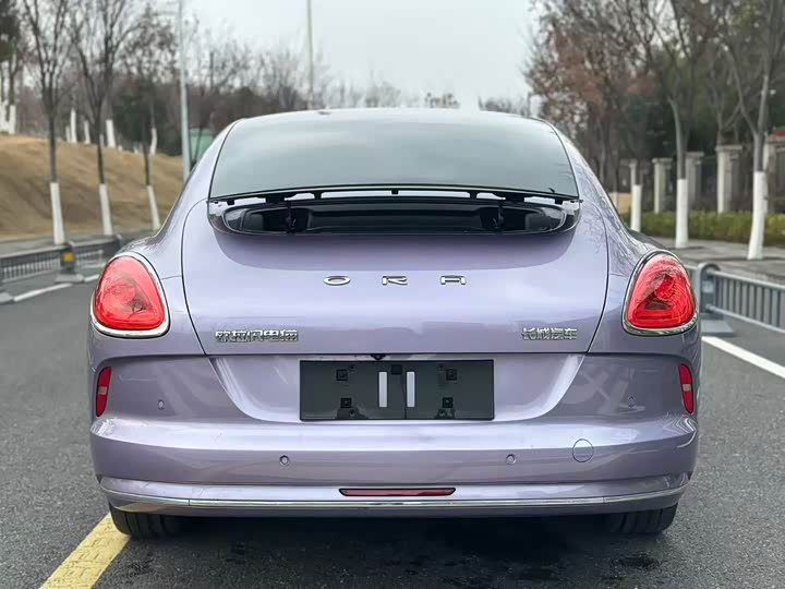 Photo 8 - Ora Lightning Cat (07)