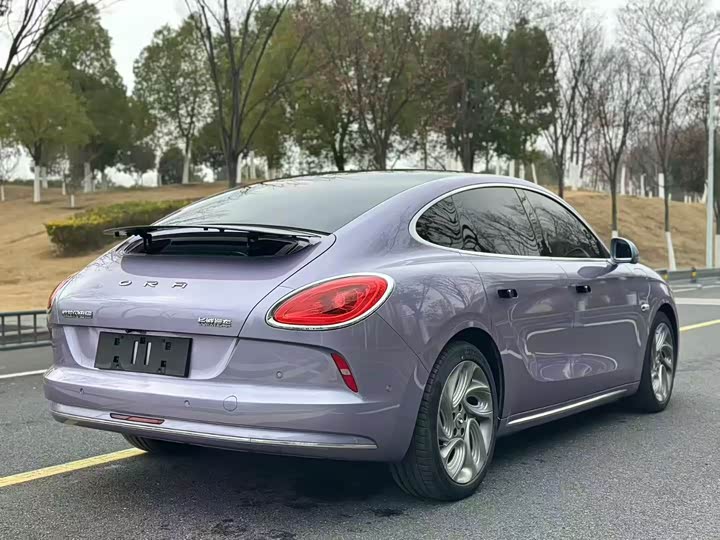 Photo 9 - Ora Lightning Cat (07)