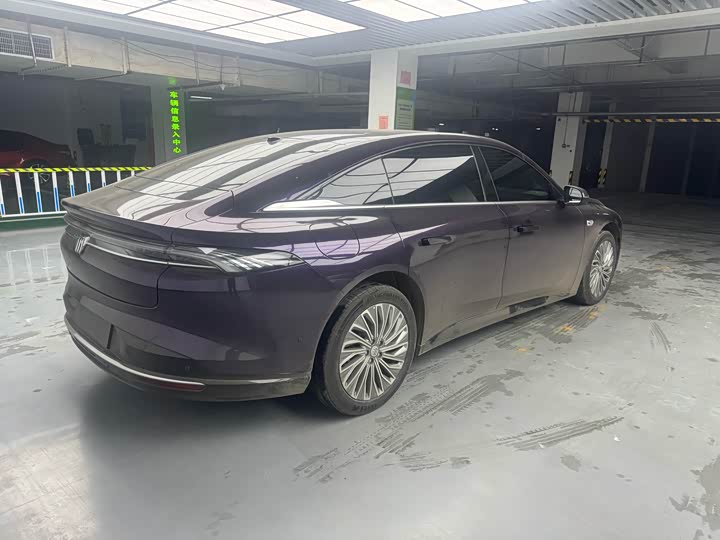 Фото 6 - Buick Electra L7