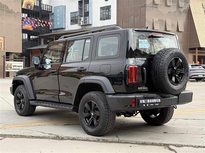 Фото 3 - Tank 300