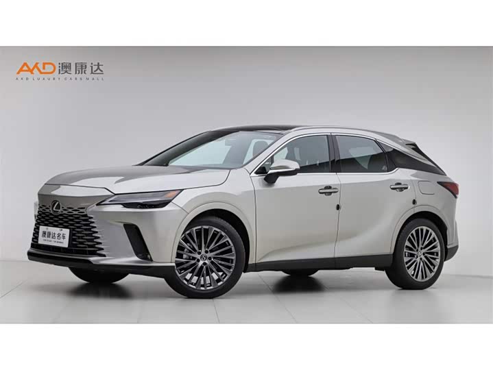 Фото 1 - Lexus RX