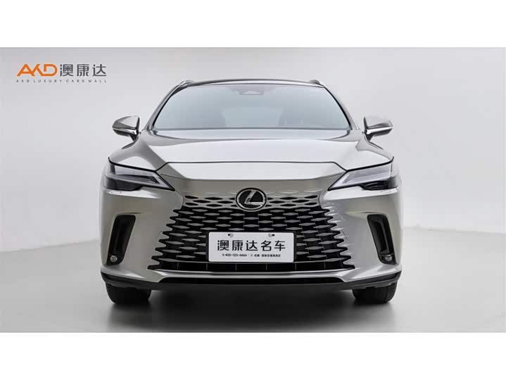 Фото 2 - Lexus RX