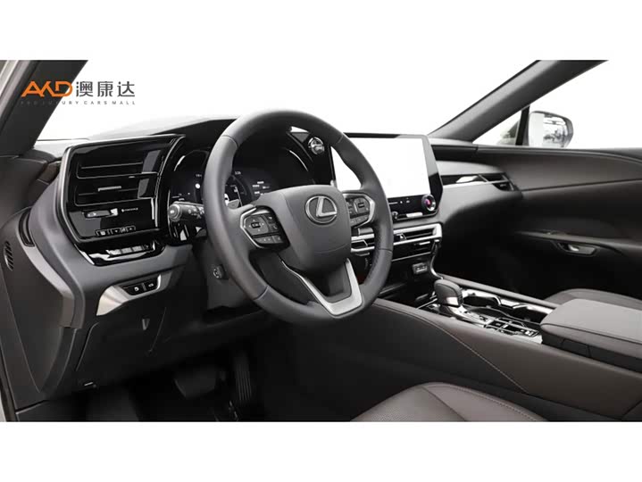 Фото 6 - Lexus RX