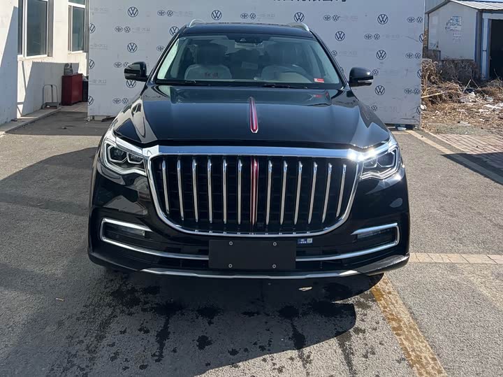 Фото 2 - Hongqi HS7