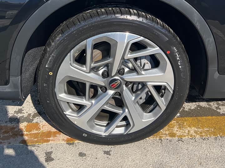 Фото 6 - Hongqi HS7