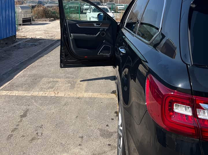 Фото 7 - Hongqi HS7