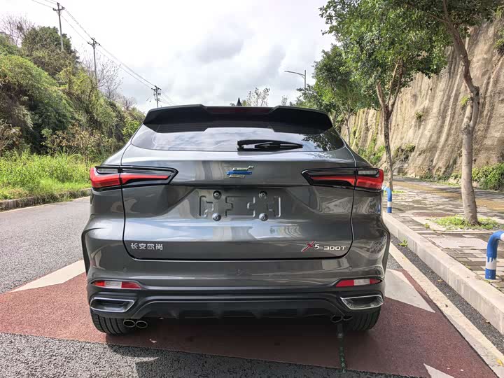 Фото 6 - Changan Oshan X5