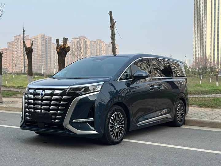 Фото 1 - Denza D9