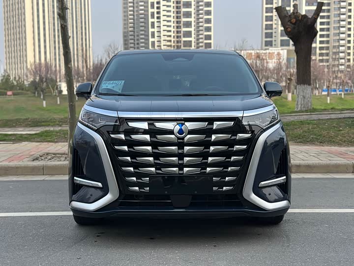 Фото 2 - Denza D9