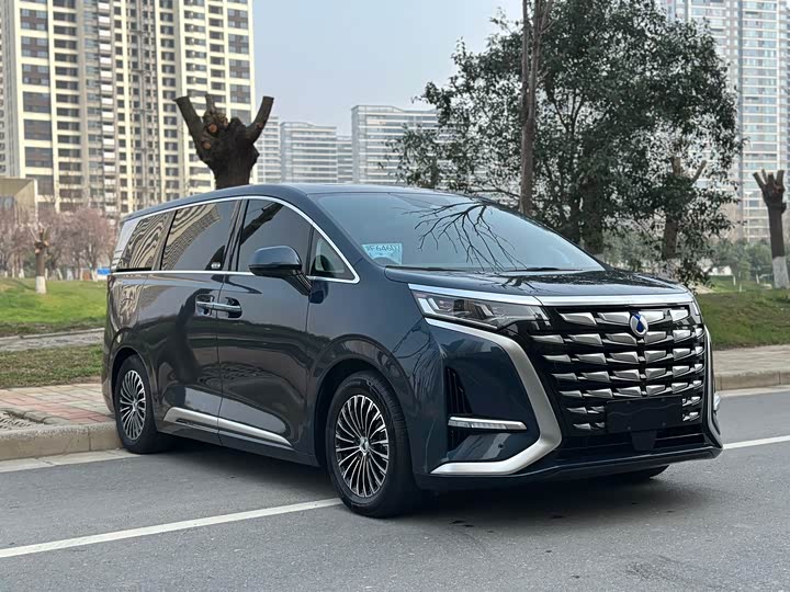 Фото 3 - Denza D9