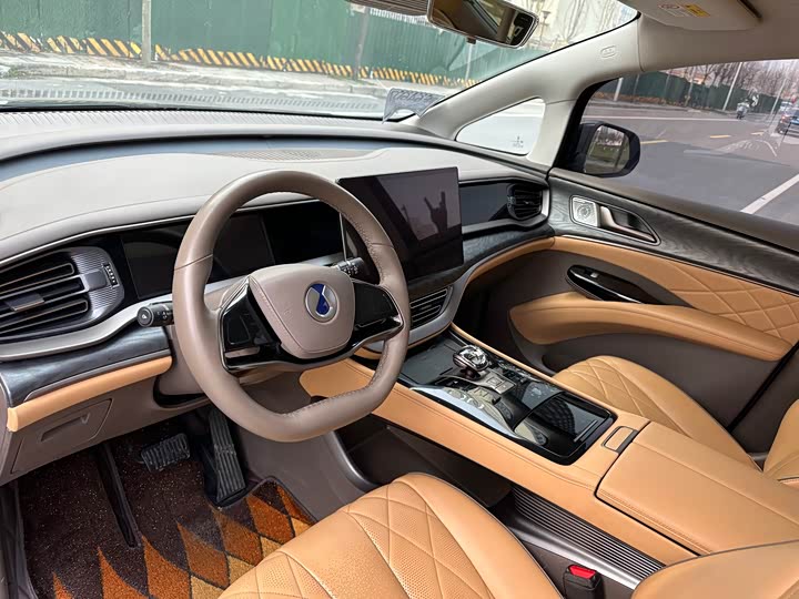 Фото 4 - Denza D9