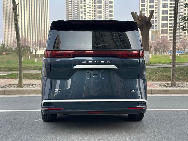 Фото 8 - Denza D9