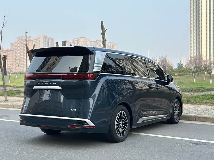 Фото 9 - Denza D9