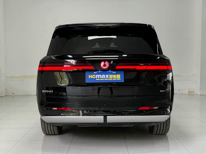 Фото 5 - Denza N9