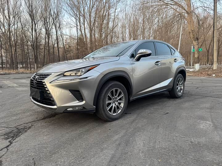 Фото 1 - Lexus NX