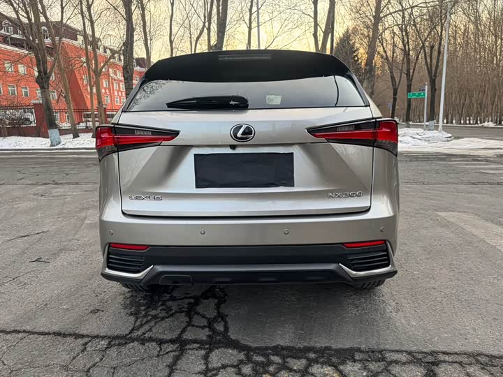 Фото 6 - Lexus NX